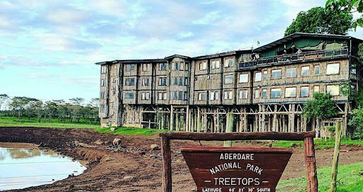 Treetops lodge in Nyeri