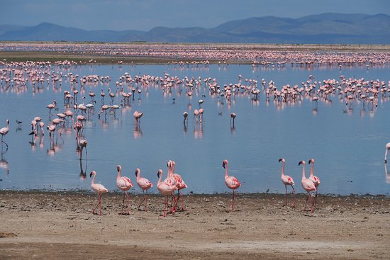 Lake Amboseli