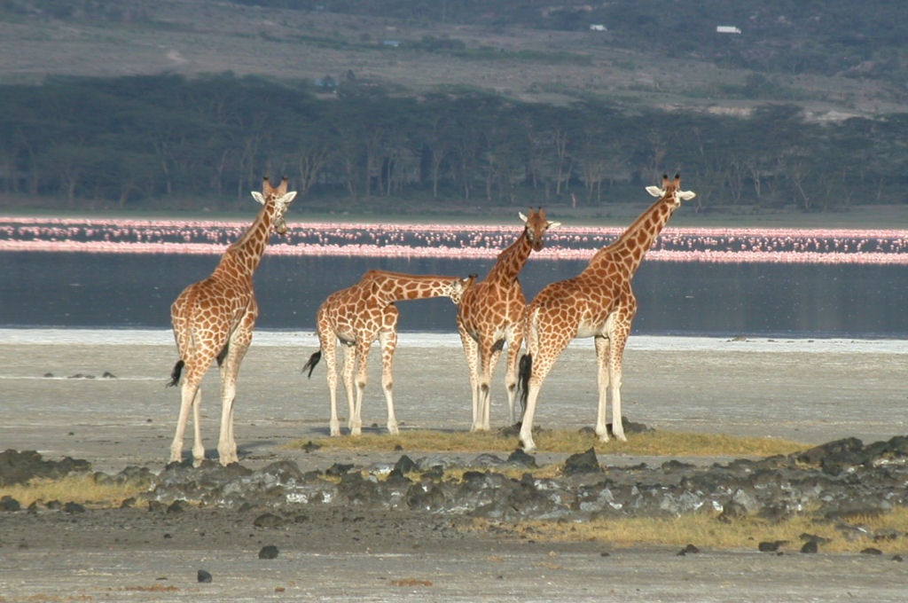 Lake Elementaita