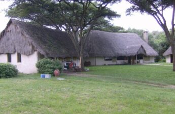 The Best and Fun Things To Do In Gilgil