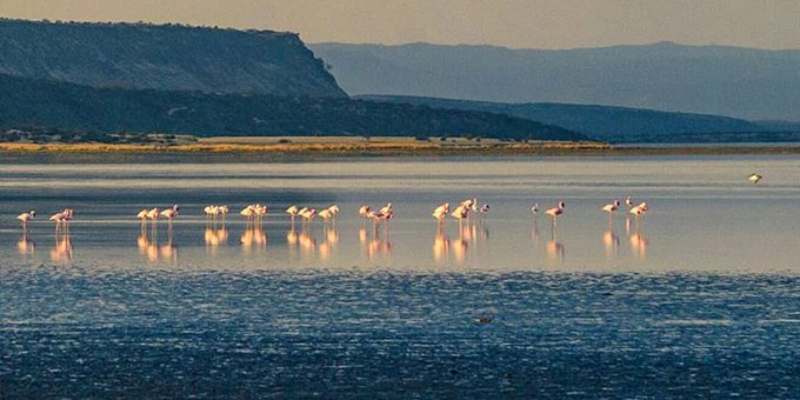 Lake Magadi In Kenya