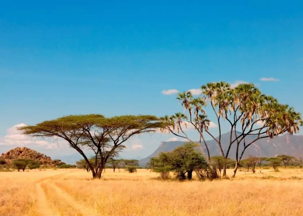 Things to do in Isiolo