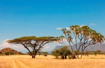 Things to do in Isiolo