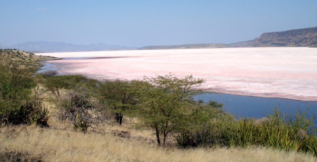 The best and fun things to do in lake Magadi