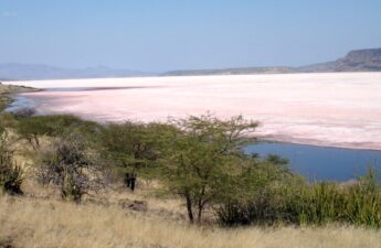 The best and fun things to do in lake Magadi