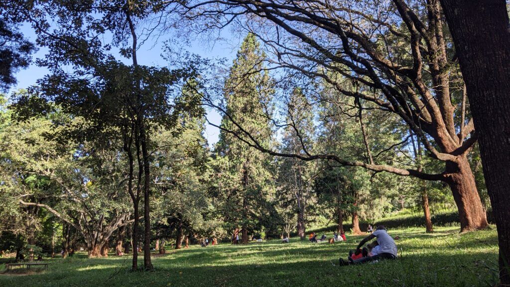 Arboretum Gardens in Nairobi