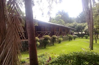 The Best and Fun Things To Do In Thika