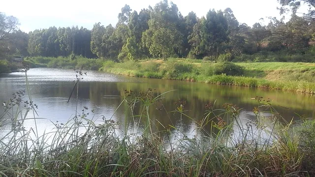 Ngong Road Forest Sanctuary