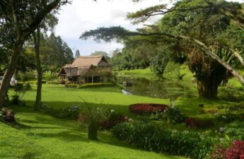 Fun Activities at Kapsimotwa Gardens